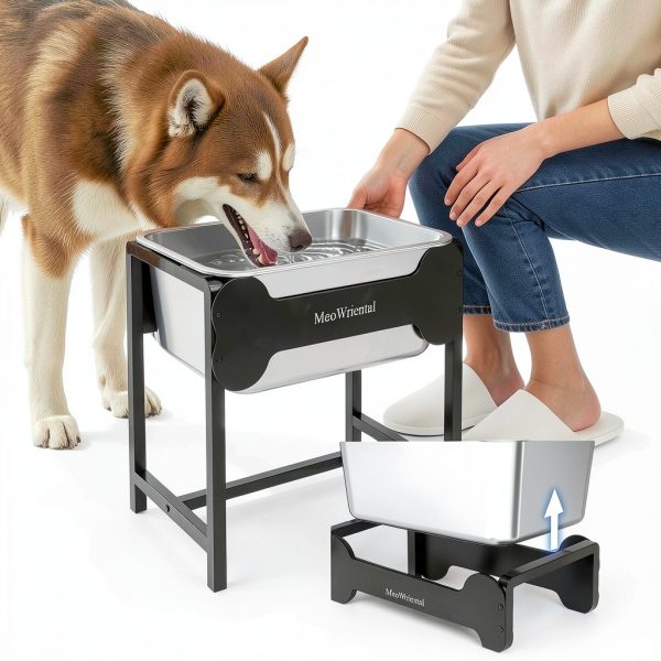 MeoWriental Raised Dog Water Bowl Stainless Steel Large-7