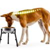 CatAve Adjustable Elevated Dog Bowl Stand for Medium Large-1