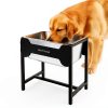 MeoWriental Raised Dog Water Bowl Stainless Steel Large-3