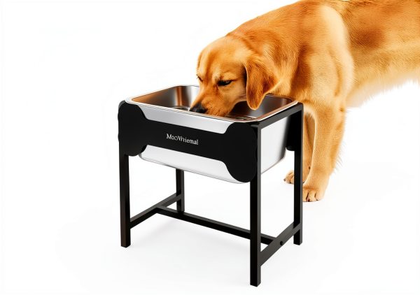 MeoWriental Raised Dog Water Bowl Stainless Steel Large-3