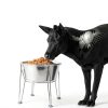 Wellbro Elevated Dog Bowl Stainless Steel Non Slip Base-3