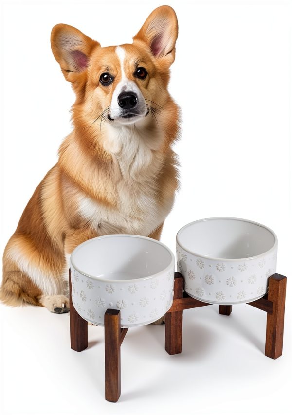 Havniva Ceramic Dog Bowls with Acacia Wood Stand Elevated-5