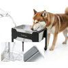 MeoWriental Raised Dog Water Bowl Stainless Steel Large-2