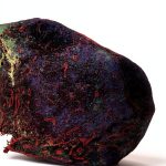 Elsevier Immunology eBook 11th Edition Medical Students-0