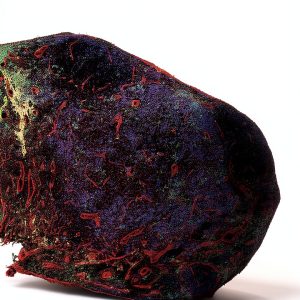 Elsevier Immunology eBook 11th Edition Medical Students-0