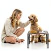 NomNest Adjustable Height Dog Bowl Stand Stainless Steel-5