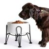 Kitwinney Dog Raised Bowls for Large Dogs White Replacement-1