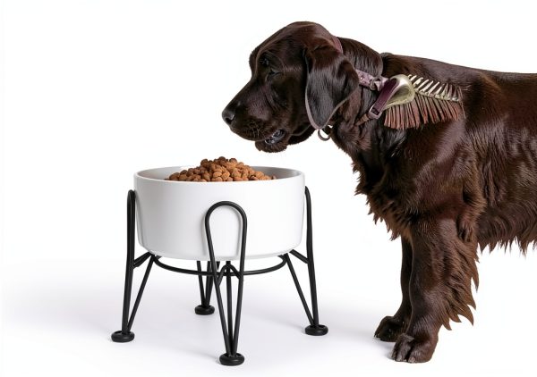 Kitwinney Dog Raised Bowls for Large Dogs White Replacement-1