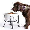 Kitwinney Dog Raised Bowls for Large Dogs White Replacement-1