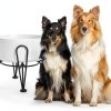 Kitwinney Dog Raised Bowls for Large Dogs White Replacement-2