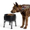 Kitwinney Dog Raised Bowls for Large Dogs White Replacement-1