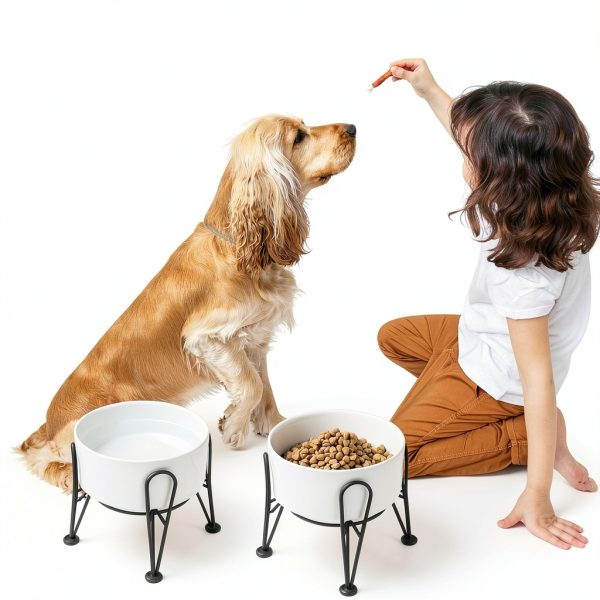 Kitwinney Dog Raised Bowls for Large Dogs White Replacement-5