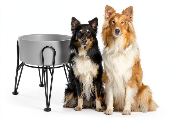 Kitwinney Dog Raised Bowls for Large Dogs White Replacement-2
