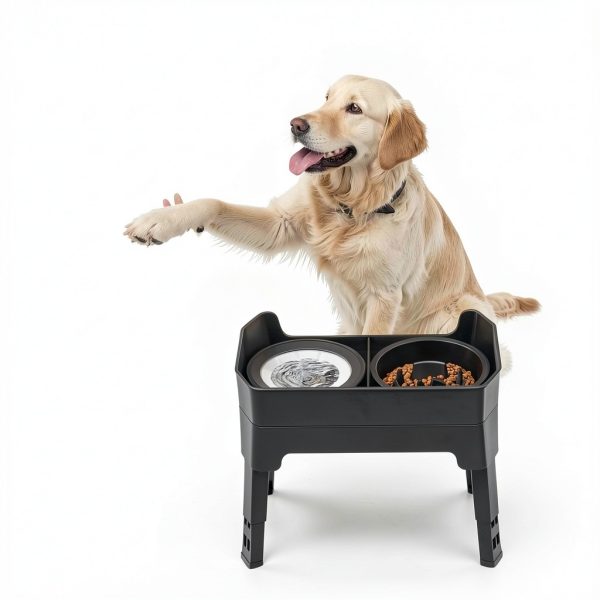 Elevated Dog Bowl KPWACD Stainless Steel Adjustable-7