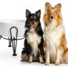 Kitwinney Dog Raised Bowls for Large Dogs White Replacement-2