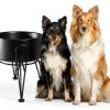 Kitwinney Dog Raised Bowls for Large Dogs White Replacement-2
