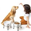 Kitwinney Dog Raised Bowls for Large Dogs White Replacement-5