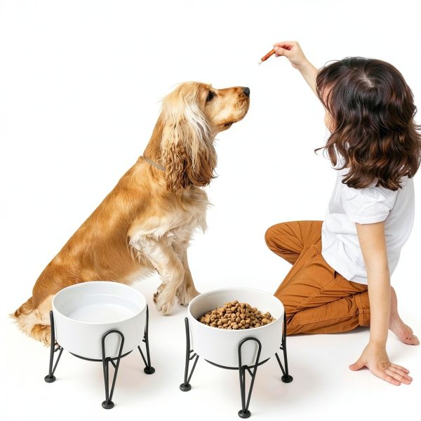 Kitwinney Dog Raised Bowls for Large Dogs White Replacement-5