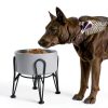 Kitwinney Dog Raised Bowls for Large Dogs White Replacement-1