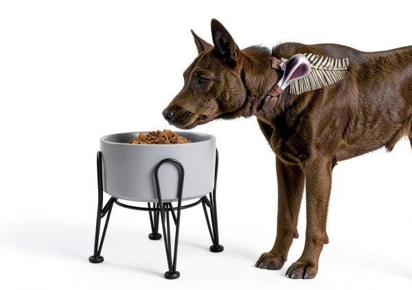 Kitwinney Dog Raised Bowls for Large Dogs White Replacement-1