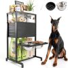 Elevated Dog Bowl Stand Metal Frame Shainfun-0