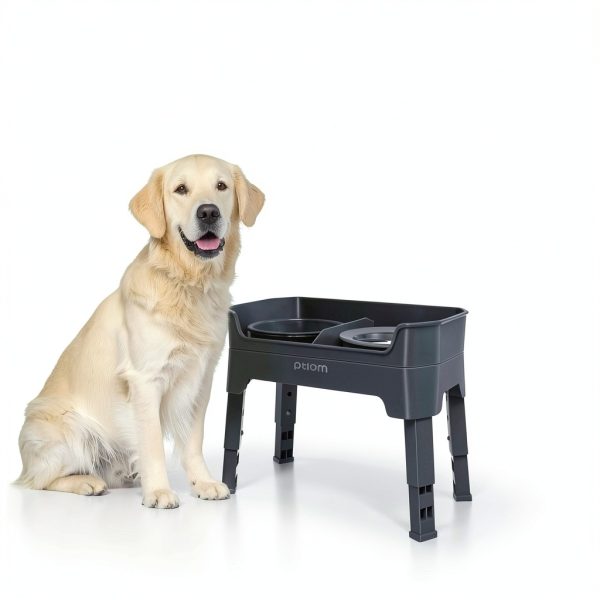 Elevated Dog Bowl KPWACD Stainless Steel Adjustable-2