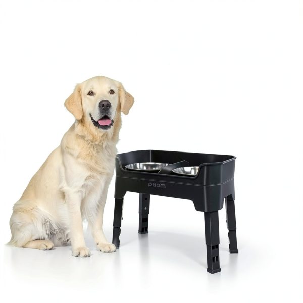 KPWACD Elevated Dog Bowl Stainless Steel 3-in-1-2