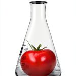 Food Additives Comprehensive Guide by Plume Kindle eBook 316 Pages-0