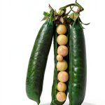 Sustainable Agriculture eBook Food Policy Guide by Chelsea Green 2022-0
