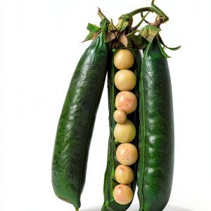 Sustainable Agriculture eBook Food Policy Guide by Chelsea Green 2022-0